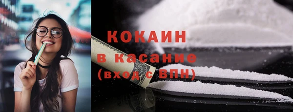 кокс Алексин