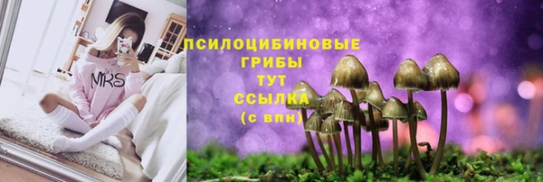 а пвп мука Иннополис