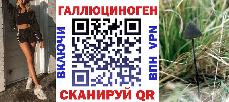 где купить наркотик  Биробиджан  Галлюциногенные грибы Cubensis 