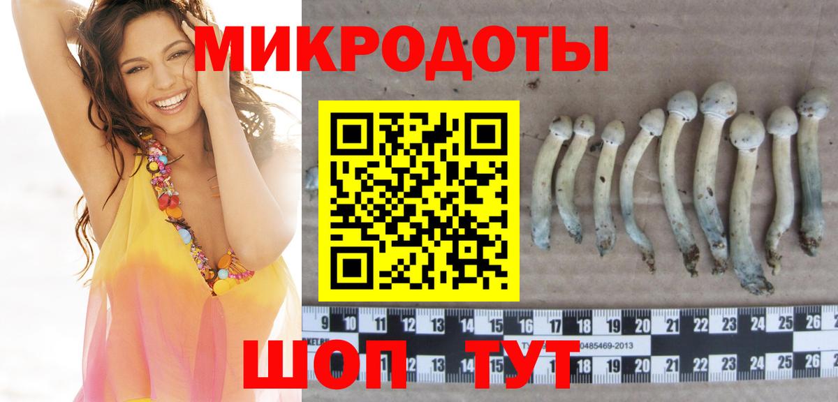 Биробиджан  Псилоцибиновые грибы Psilocybine cubensis  Вход с VPN 